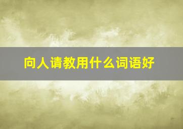 向人请教用什么词语好