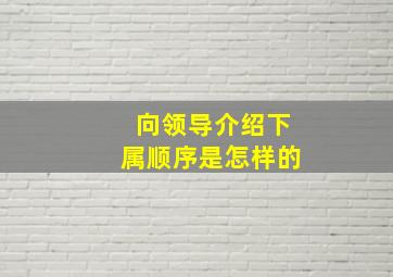 向领导介绍下属顺序是怎样的