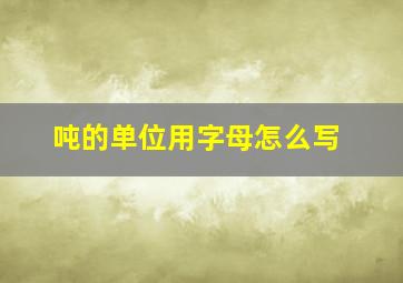 吨的单位用字母怎么写