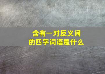 含有一对反义词的四字词语是什么