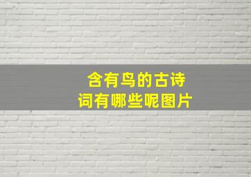 含有鸟的古诗词有哪些呢图片