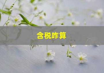 含税咋算