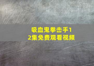 吸血鬼拳击手12集免费观看视频