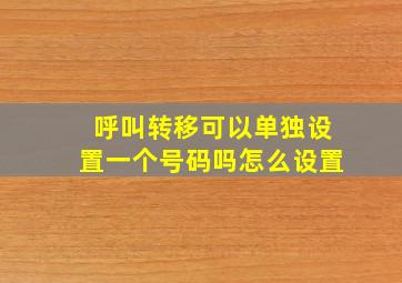 呼叫转移可以单独设置一个号码吗怎么设置