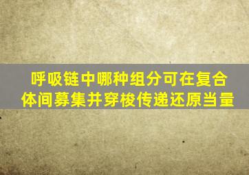 呼吸链中哪种组分可在复合体间募集并穿梭传递还原当量