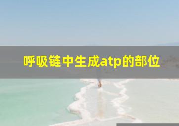 呼吸链中生成atp的部位