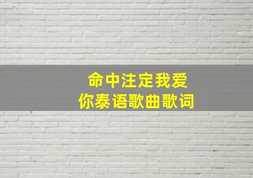 命中注定我爱你泰语歌曲歌词