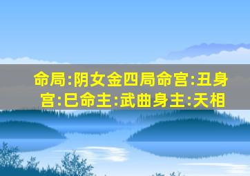 命局:阴女金四局命宫:丑身宫:巳命主:武曲身主:天相