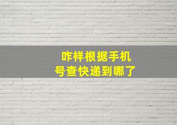 咋样根据手机号查快递到哪了