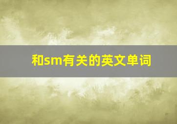 和sm有关的英文单词