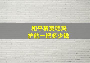 和平精英吃鸡护航一把多少钱