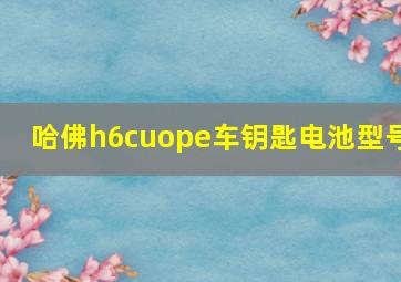 哈佛h6cuope车钥匙电池型号