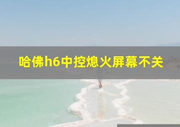 哈佛h6中控熄火屏幕不关