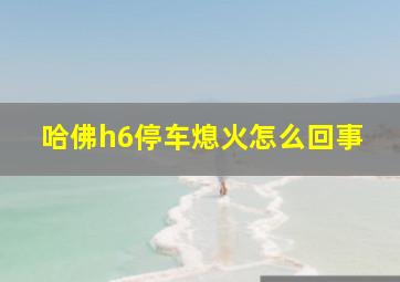 哈佛h6停车熄火怎么回事