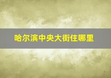 哈尔滨中央大街住哪里