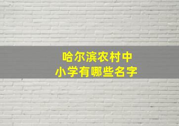 哈尔滨农村中小学有哪些名字