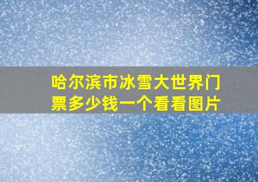 哈尔滨市冰雪大世界门票多少钱一个看看图片