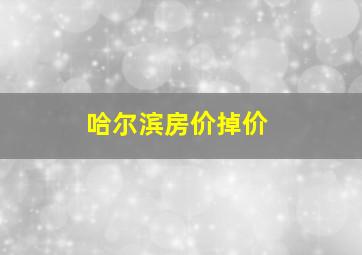 哈尔滨房价掉价