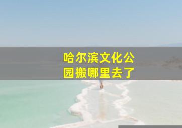 哈尔滨文化公园搬哪里去了