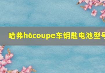 哈弗h6coupe车钥匙电池型号