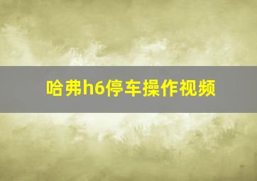 哈弗h6停车操作视频