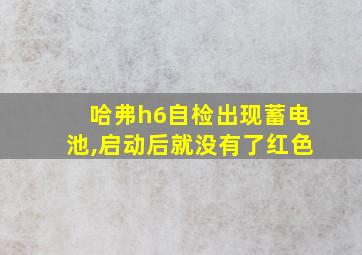 哈弗h6自检出现蓄电池,启动后就没有了红色