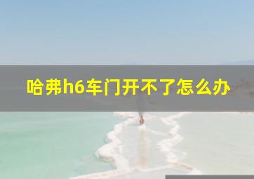 哈弗h6车门开不了怎么办