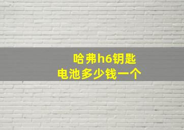 哈弗h6钥匙电池多少钱一个