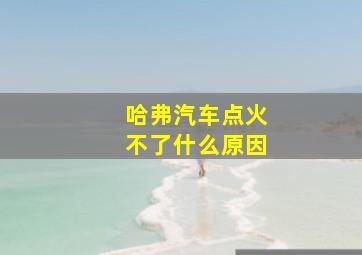 哈弗汽车点火不了什么原因