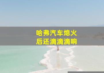 哈弗汽车熄火后还滴滴滴响