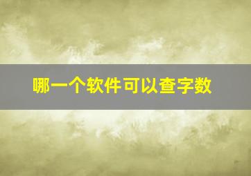 哪一个软件可以查字数