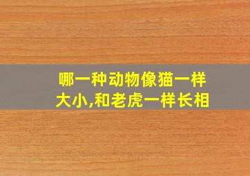 哪一种动物像猫一样大小,和老虎一样长相