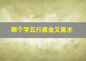 哪个字五行属金又属水