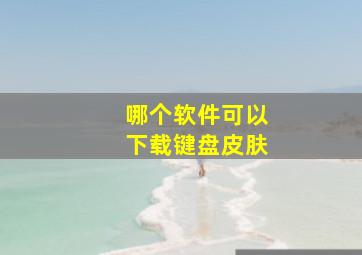 哪个软件可以下载键盘皮肤