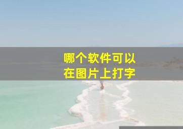 哪个软件可以在图片上打字