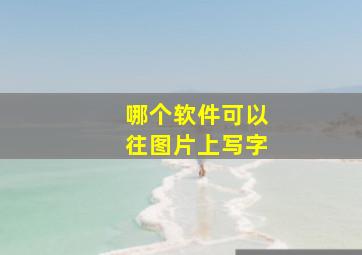 哪个软件可以往图片上写字