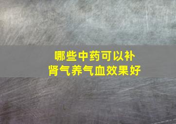 哪些中药可以补肾气养气血效果好