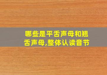 哪些是平舌声母和翘舌声母,整体认读音节