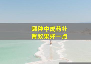 哪种中成药补肾效果好一点