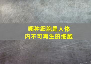 哪种细胞是人体内不可再生的细胞