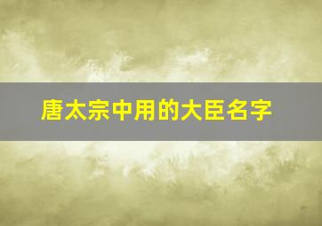 唐太宗中用的大臣名字