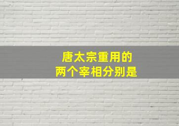 唐太宗重用的两个宰相分别是