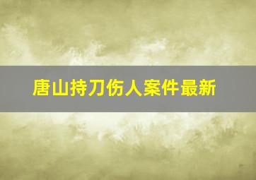 唐山持刀伤人案件最新