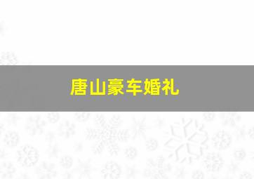 唐山豪车婚礼