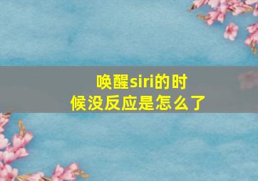 唤醒siri的时候没反应是怎么了