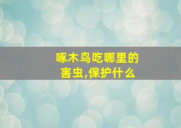 啄木鸟吃哪里的害虫,保护什么