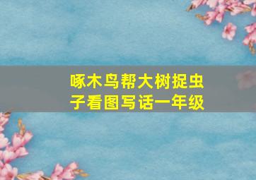 啄木鸟帮大树捉虫子看图写话一年级