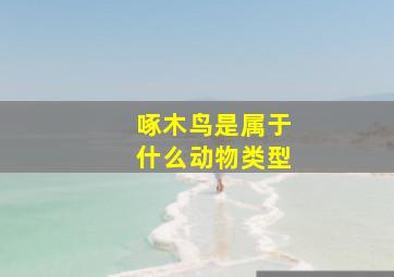 啄木鸟是属于什么动物类型