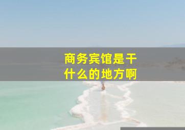 商务宾馆是干什么的地方啊