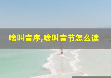 啥叫音序,啥叫音节怎么读